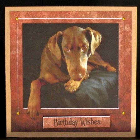 Doberman 'the Look' 8x8inch Topper by Suzi Cooper