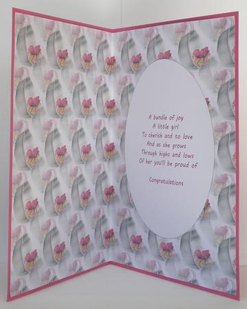 Congratulations on Your New Baby Girl by Suzi Cooper