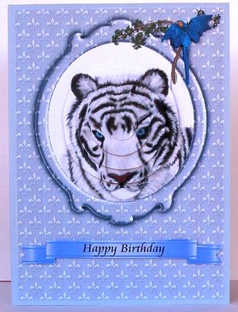 Siberian Tiger by Suzi Cooper