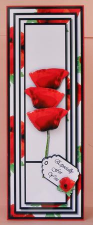 Perfect Poppies - Large Dl by Suzi Cooper