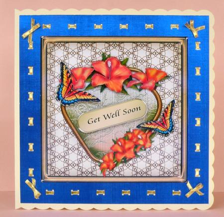 Orange Hibiscus in Frame by Suzi Cooper