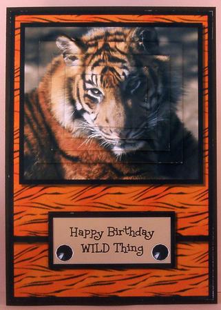 Funny Wild Thing - Tiger by Suzi Cooper