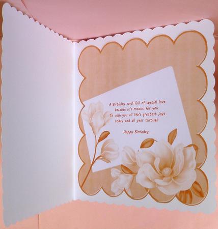 Magnolia Peach 8in Scallop Insert Panel 1 Sheet by Suzi Cooper
