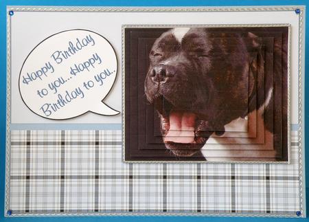 Staffie Old Age Doesn't Come Alone Card by Suzi Cooper