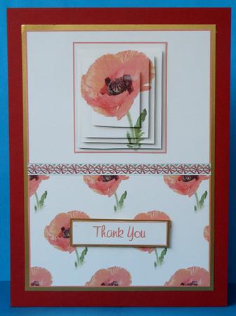 Stunning Poppy on Peachy Cream Pyramid by Suzi Cooper