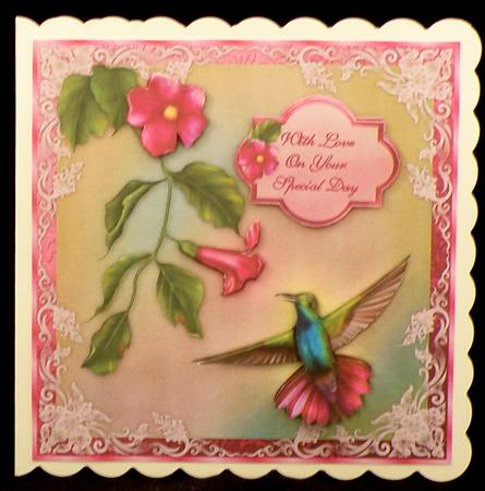 The Hummingbird by Suzi Cooper