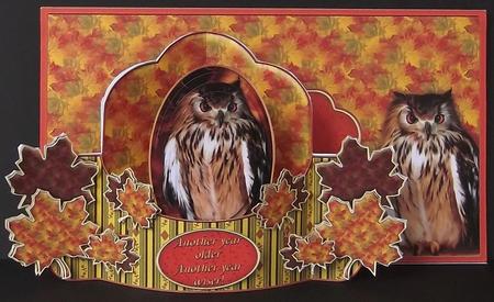 Wise Owl Push and Pull Card Kit by Suzi Cooper