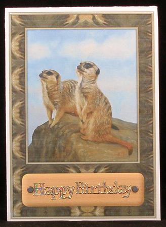 Meercat - Print & Fold by Suzi Cooper