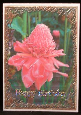 Thai Flower - Print & Fold by Suzi Cooper