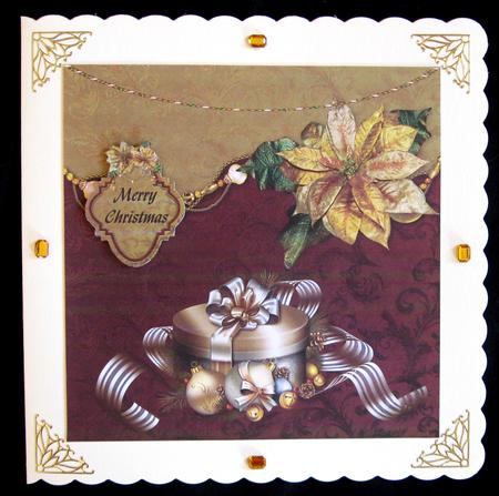 Christmas Poinsettia by Suzi Cooper