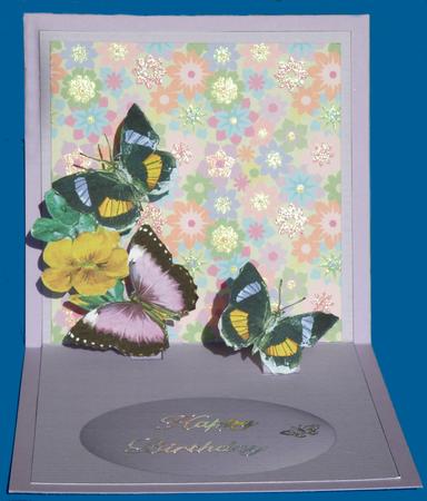 Butterfly Pop Up 2 by Suzi Cooper