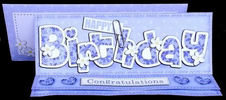 Large Dl Birthday Flowers Easel Card Kit N Envelope by Suzi Cooper