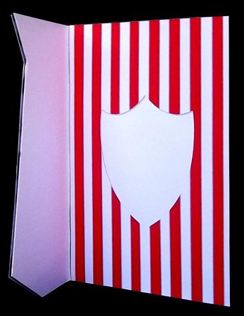 Football Red & White Insert by Suzi Cooper
