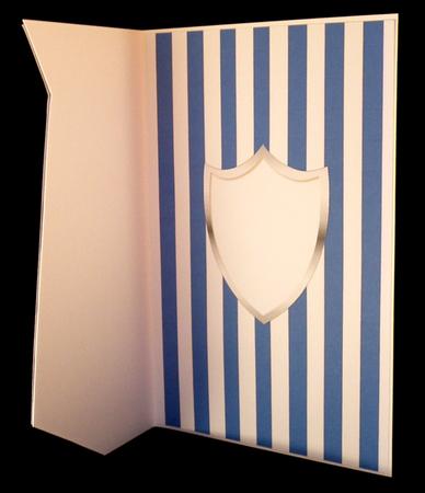 Blue & White Football Insert by Suzi Cooper