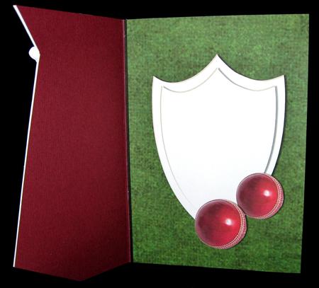 Cricket Insert by Suzi Cooper