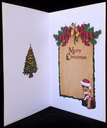 Can I Open My Presents Insert by Suzi Cooper