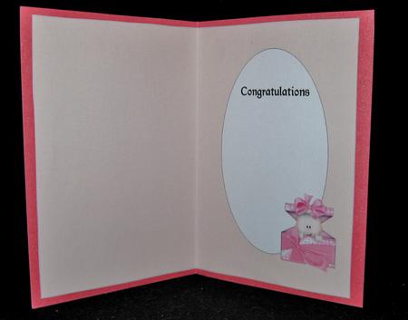 Baby Girl in a Box Insert by Suzi Cooper