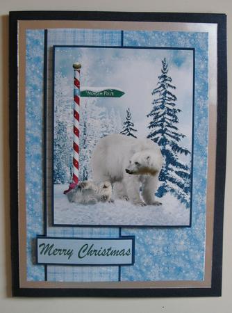 Polar Bears at the North Pole by Suzi Cooper