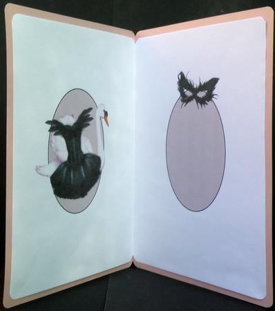 The Black Swan Ballet Insert by Suzi Cooper