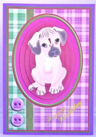Cute Little Puppy by Suzi Cooper