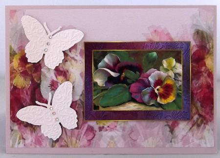 Pansy Backing 3 by Suzi Cooper