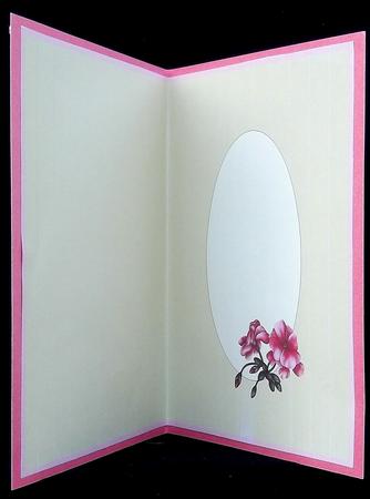 Pink Geraniums by Suzi Cooper