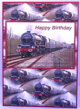The Steam Train by Suzi Cooper