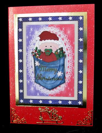 2 Designs in 1 Baby in Pocket by Suzi Cooper