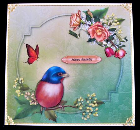 Bird and Roses by Suzi Cooper