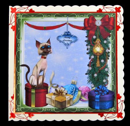 Meowy Christmas by Suzi Cooper