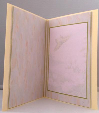 Swallowtail A5 Insert by Suzi Cooper