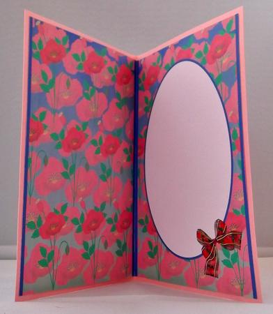 Poppies in the Wild Insert by Suzi Cooper
