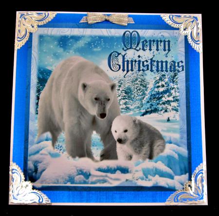 Merry Christmas Polar Bears by Suzi Cooper