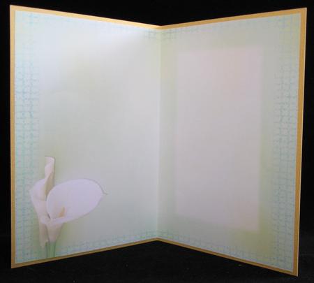 Calla Lily Insert by Suzi Cooper