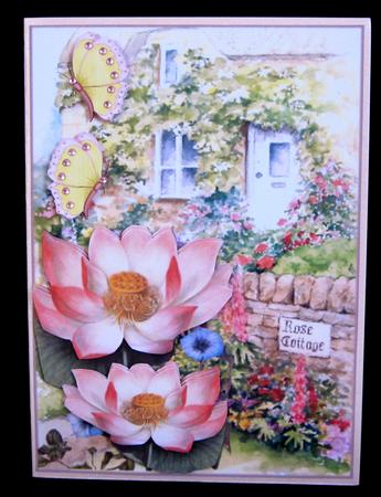 Rose Cottage by Suzi Cooper