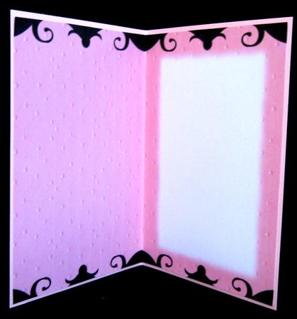 10 Bold Colour Assorted Design Inserts by Suzi Cooper