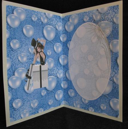 Special Birthday Celebration Insert by Suzi Cooper