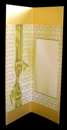 Gold Stars 8"x4" Insert by Suzi Cooper