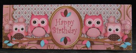 Pink Owls Happy Birthday Large Dl Decoupage Card Kit by Suzi Cooper