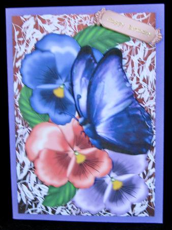 Big and Bold Pansies with Butterfly by Suzi Cooper