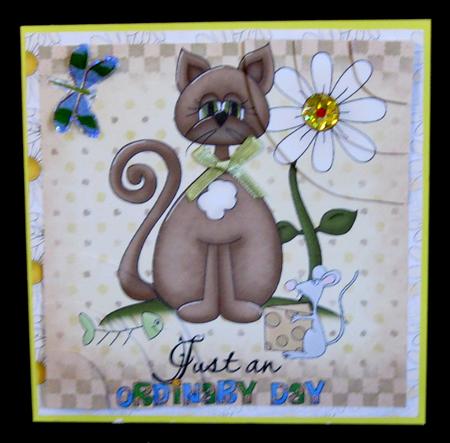 White Daisy by Suzi Cooper
