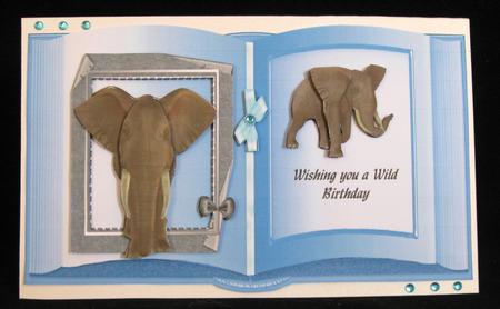 Have a Wild Birthday by Suzi Cooper