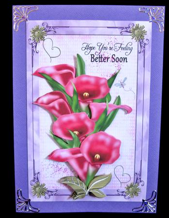 Pink Calla Lilies by Suzi Cooper