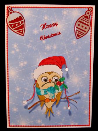 Xmas Owls by Suzi Cooper