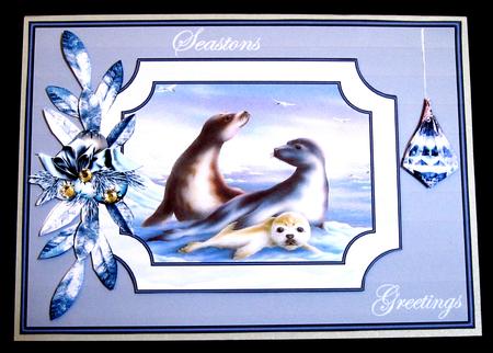 Family of Seals A5 Card Front with Layers by Suzi Cooper