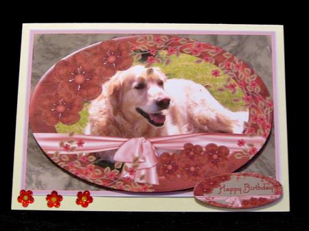 Golden Retriever in the Sun for Birthday/any Occasion by Suzi Cooper