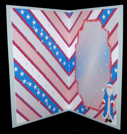 Santa with Stars & Stripes Insert by Suzi Cooper
