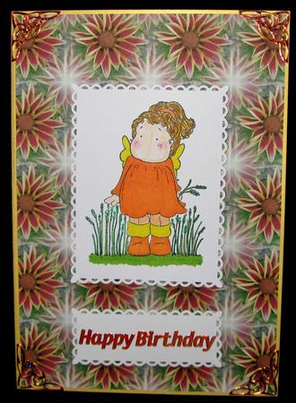 Gazania by Suzi Cooper