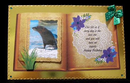 Christmas & Birthday Booksheets - One of the Locals by Suzi Cooper