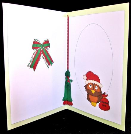Christmas Greetings from Owl Insert by Suzi Cooper